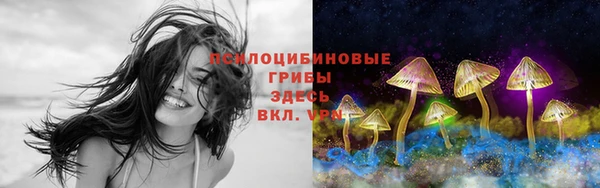 PSILOCYBIN Осинники