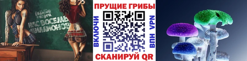 Псилоцибиновые грибы MAGIC MUSHROOMS Богородск