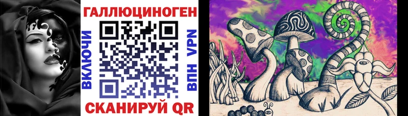 Псилоцибиновые грибы мицелий  OMG tor  Богородск  это наркотические препараты  как найти наркотики 