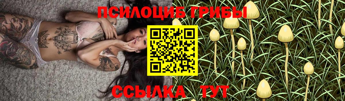 Псилоцибиновые грибы Magic Shrooms Богородск