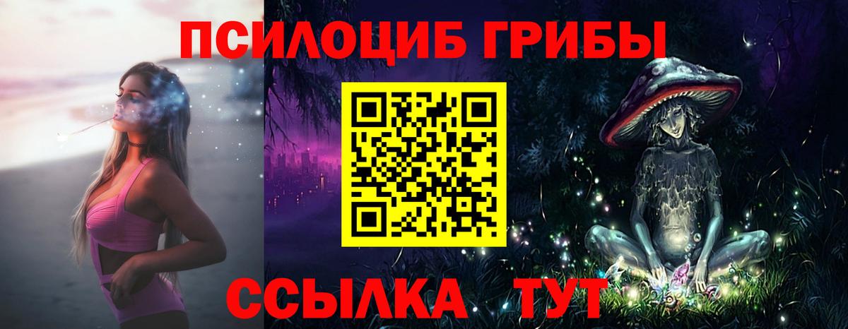 Псилоцибиновые грибы прущие грибы  наркотики  Вход с VPN  Богородск  Галлюциногенные грибы Magic Shrooms 